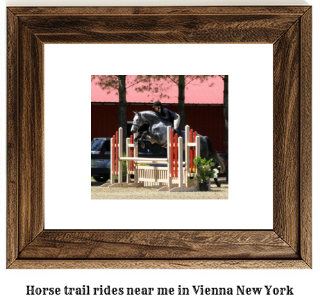 horse trail rides near me in Vienna, New York